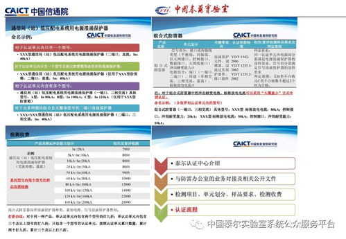通信防雷產品政策宣貫及技術研討會專刊 賦能行業安全，信息技術咨詢服務在行動
