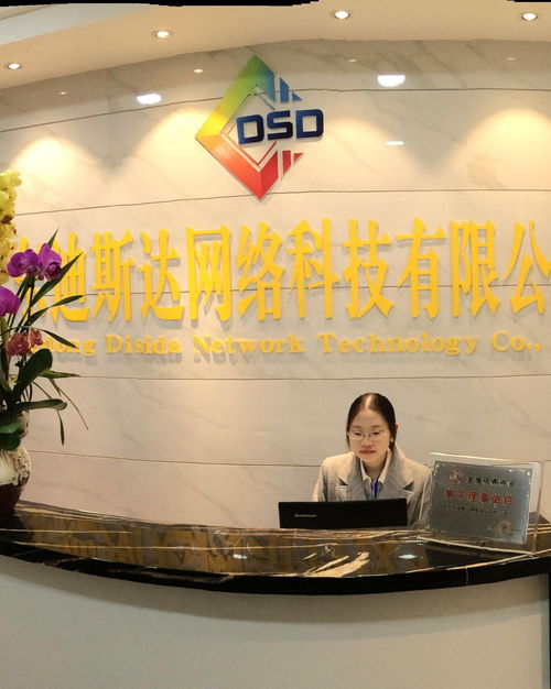 廣東迪斯達網絡科技 引領信息技術咨詢服務新潮流